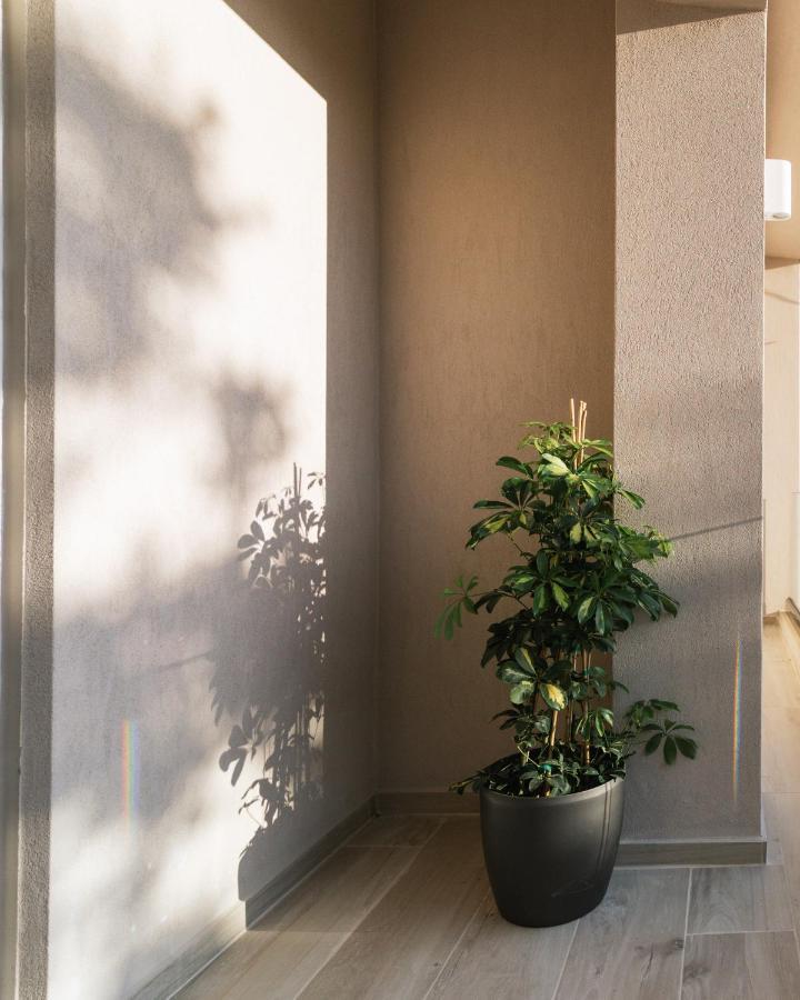 Central Apartments “Evanthia” Pitsidia Extérieur photo